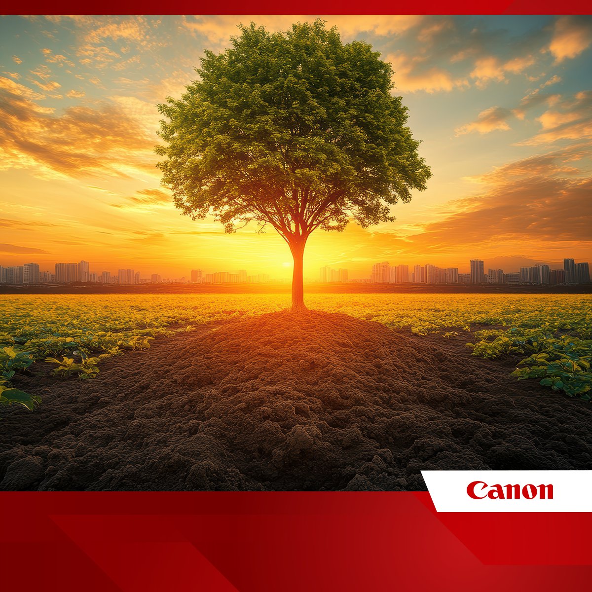 CanonUSA's tweet image. Thanks to our innovative energy-saving technologies used in office equipment, Canon products have helped save 7,067 GWh of energy between 2013 and 2024, resulting in a potential reduction of 3,169,000 t-CO2e.
Learn more: canon.us/43hC29i