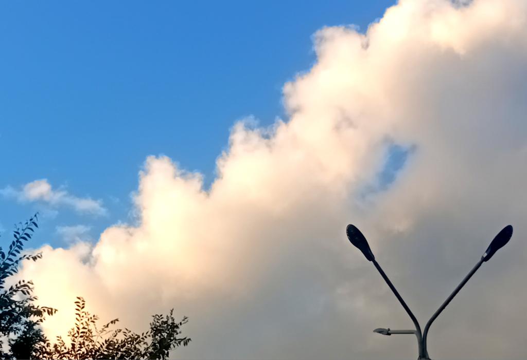 Катерина Галич tweet media