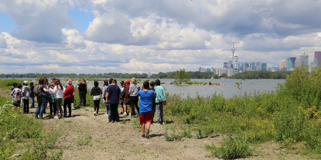 Toronto and Region Conservation Authority tweet media