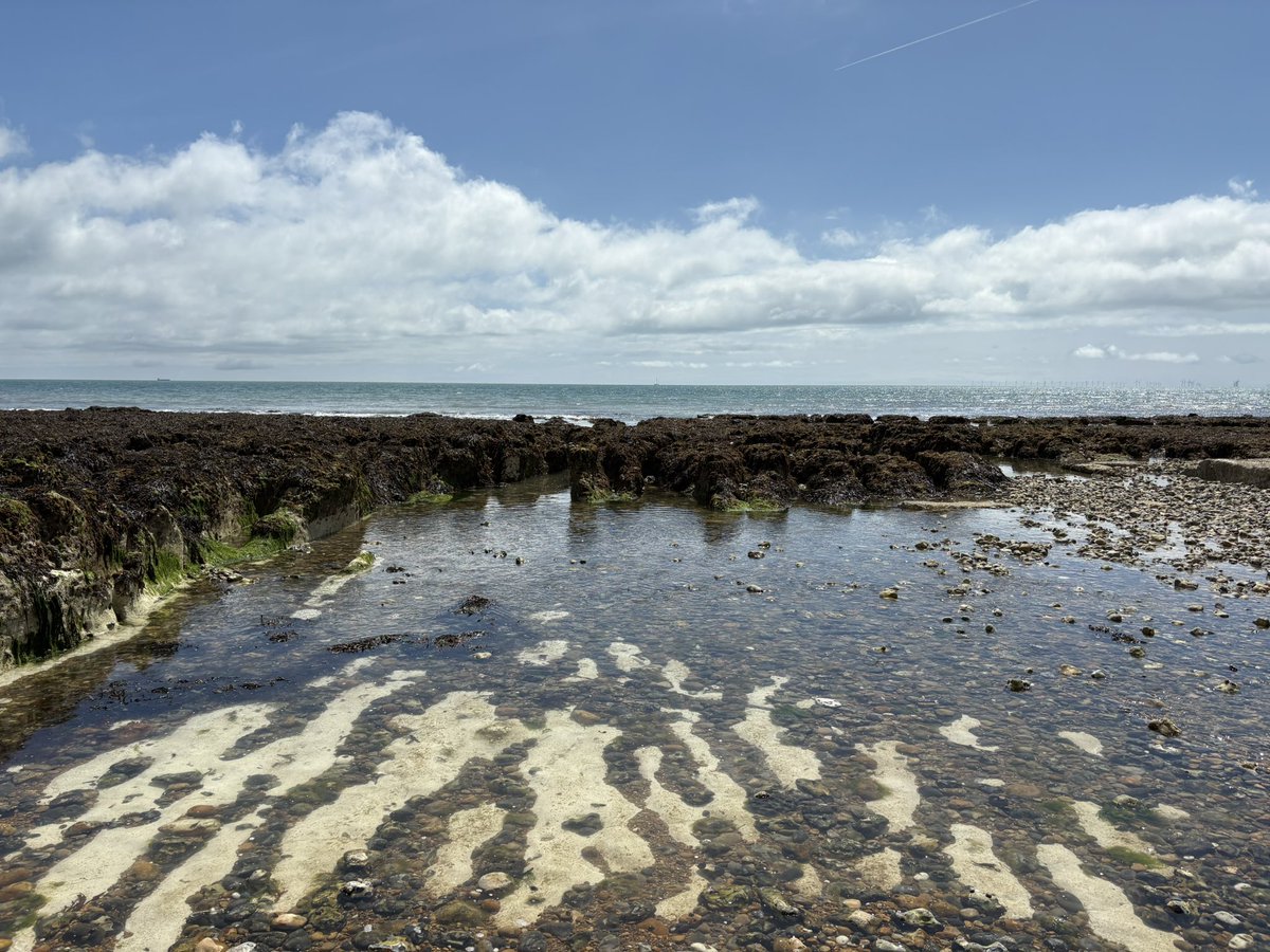 justoneoftheta1's tweet image. A calming day after the thunder and lightning to clear the head and kick off the start of the big 6 week refresh. #rottingdean