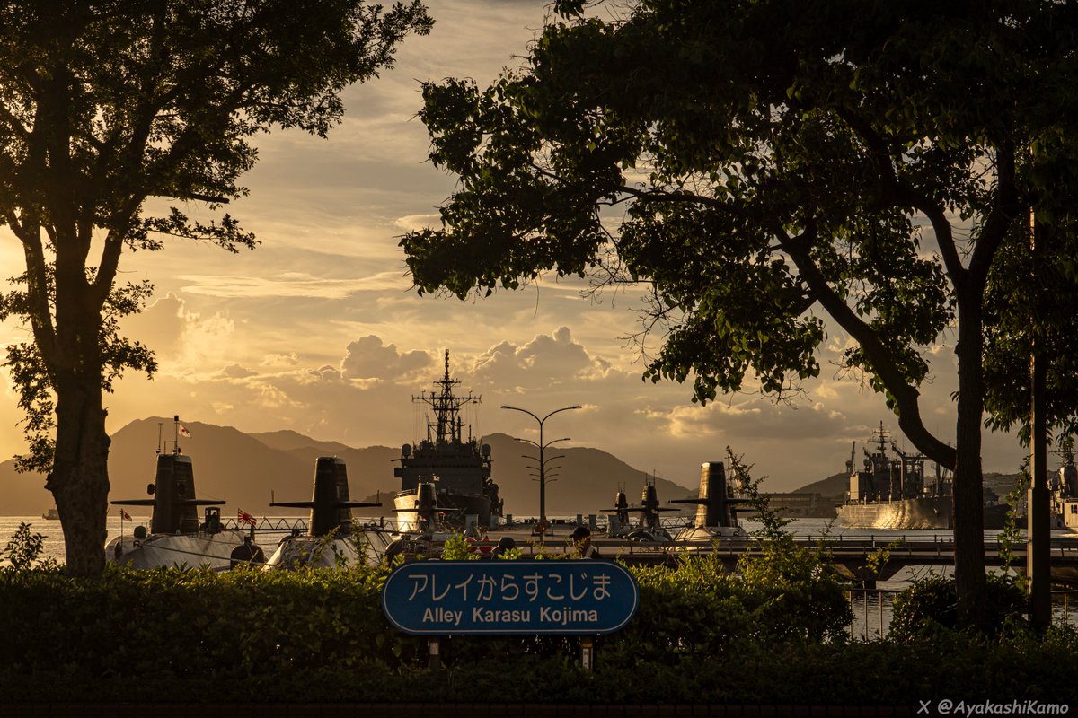 AyakashiKamo's tweet image. アレイからすこじまから撮った夕日に染まる艦船達⚓️
ようこう型輸送艦を初めて撮ったり、草木を額の様に写し込んで撮ってみたりと花火開始までも艦活が捗りました
#JMSDF
🇯🇵【#ようこう (JS Yoko LSV-4101)】2025/07/19📸