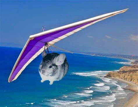 Weeeeeee!!!What a view #zzst