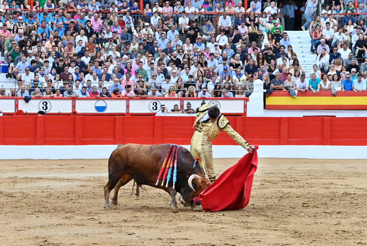 Gema Igual Ortiz (@gemaigual) on Twitter photo Damos la bienvenida en Cuatro Caminos a la Feria de Santiago en #Santander 🐂Comenzamos con la novillada de El Parralejo para tres jóvenes con valor y arte: Diego Bastos, Bruno Aloi y El Mene demostrando entrega y afición 👏🏻
Con <a href="/lancesdefuturo/">Lances de Futuro</a> Damos la bienvenida en Cuatro Caminos a la Feria de Santiago en #Santander 🐂Comenzamos con la novillada de El Parralejo para tres jóvenes con valor y arte: Diego Bastos, Bruno Aloi y El Mene demostrando entrega y afición 👏🏻
Con <a href="/lancesdefuturo/">Lances de Futuro</a>