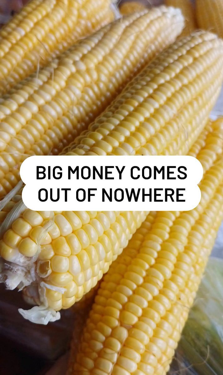 Inside Manifestation tweet media