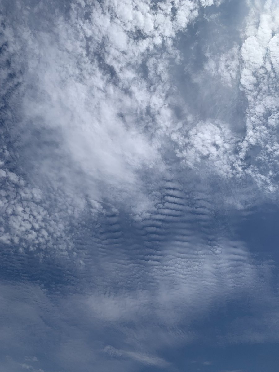 chris5005's tweet image. Tucson frequencies up all the way #theclearskiesmovement