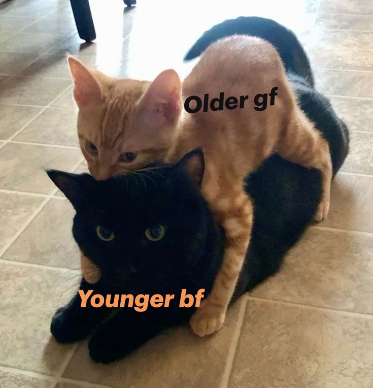 my msg. (@_mymsg) on Twitter photo 