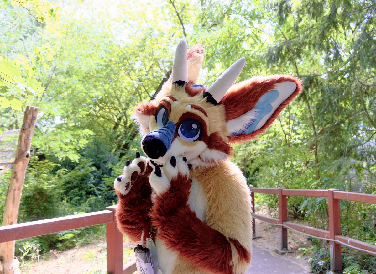 CoVahr_Fox's tweet image. Today I just want to say thank you. For the things I have, the possibilities to bring joy to people and lighten up their day. It fulfills me very much!
Thank you for being here!
