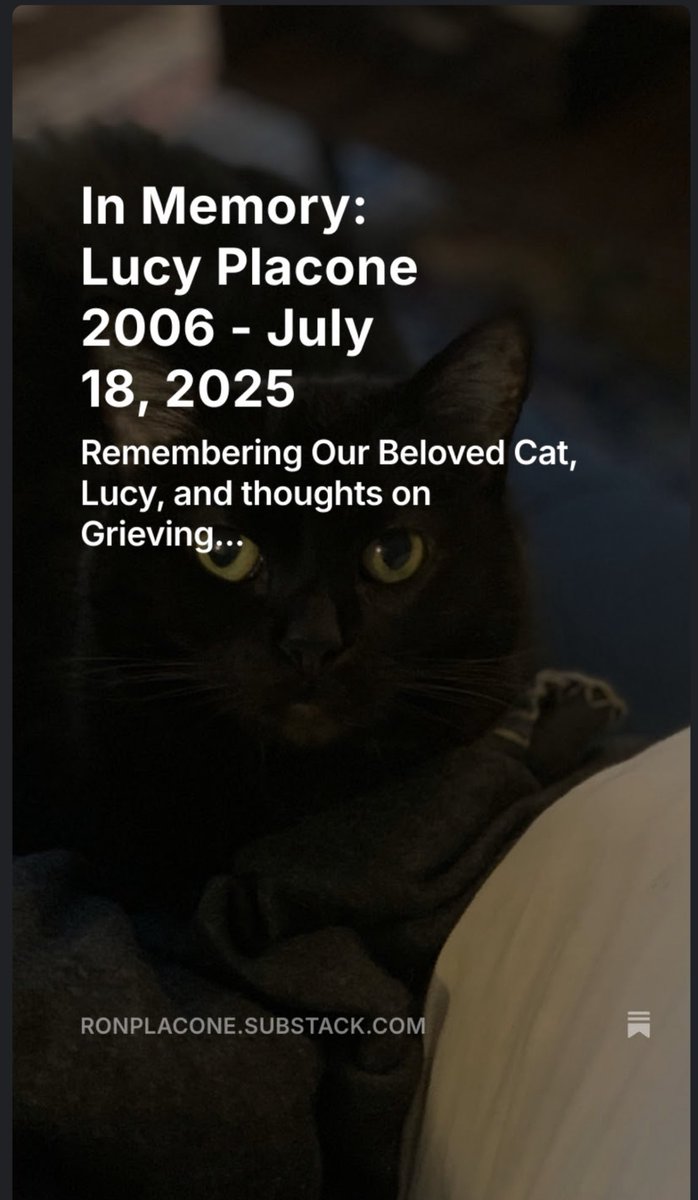 RonPlacone's tweet image. On this, for me, very difficult and bittersweet Caturday, here’s a reflection on Lucy and pet love and loss. ronplacone.substack.com/p/in-memory-lu…
