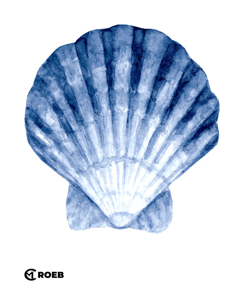 cmroeb's tweet image. 🐚 Seashell heaven awaits! From Florida’s Sanibel Island to Australia’s Shell Beach, these beaches are paradise for shell collectors 🌸.
#SeashellParadise #BeachCollectors #NatureTreasures #ShellHunting #TropicalEscapes