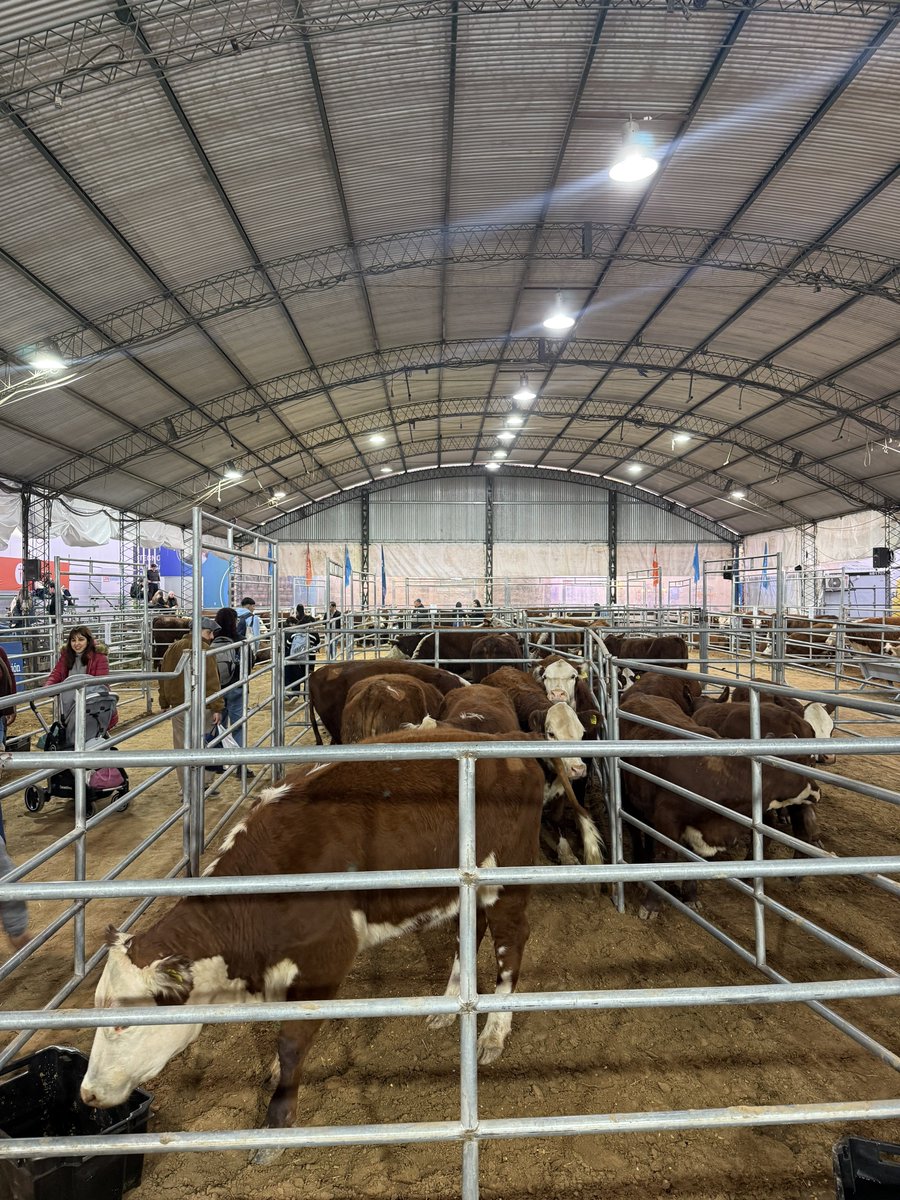 Geologo_Trader's tweet image. Estoy en La Rural (biggest annual event for agriculture in Argentina).
Siempre uno de mis eventos favoritos en Buenos Aires. 🇦🇷