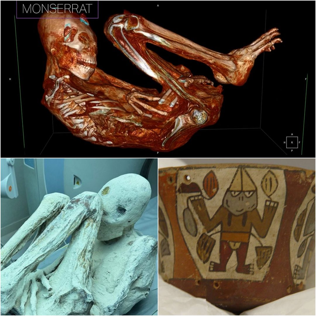 These tridactyl mummies from Peru have real bone, real tissue, real capillaries, real internal organs, and yes, even developing fetuses. Independent forensic scans and CT imaging reveal anatomy too precise to be a hand crafted hoax made from animal parts or glued bullshit.