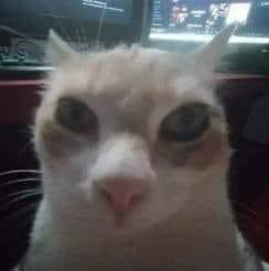 Dormir está sobrevalorado (desea dejar de dormir 2 horas al día)