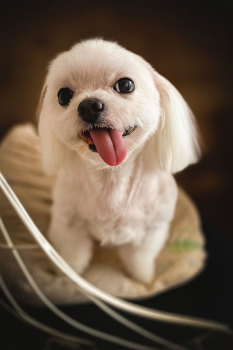 Sunlitkh's tweet image. Ну шо ви там?