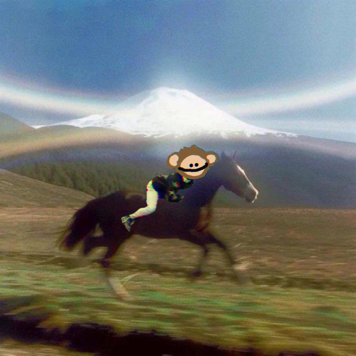 delegatz tweet media