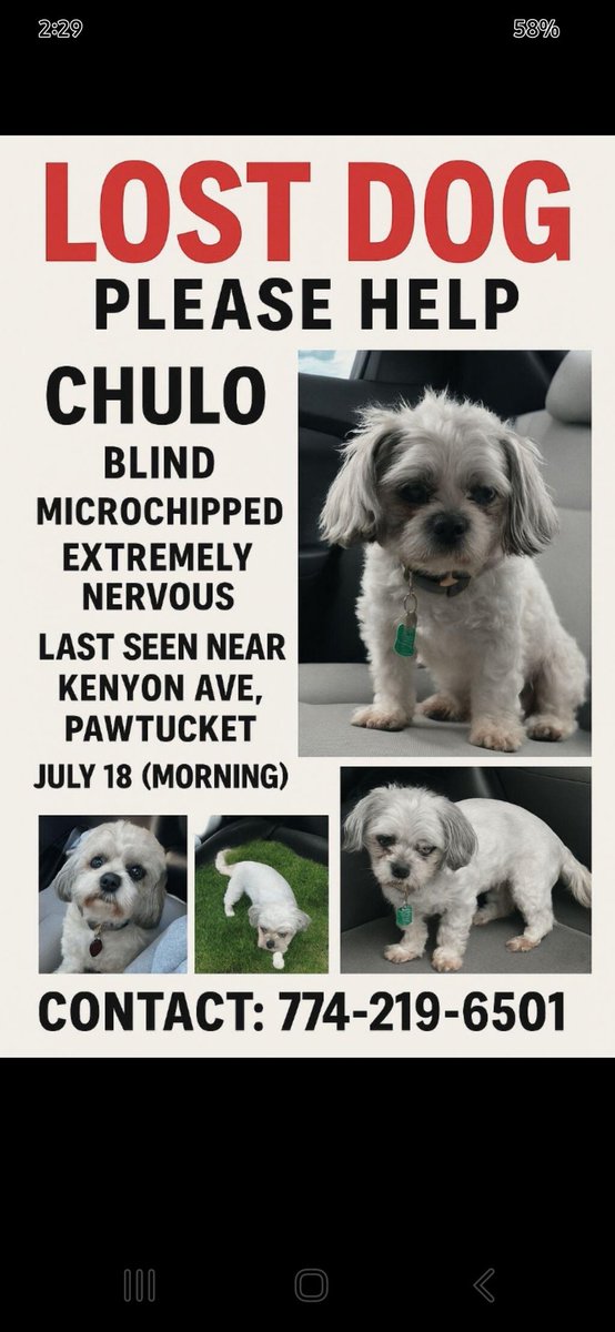 Hi <a href="/SistersInBiz/">Christine J Arepaki</a> 
#LostDog Pawtucket 
#RhodeIsland