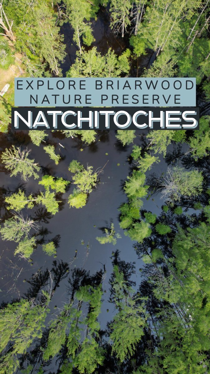 IntrepidEscape's tweet image. My top 10 MUST DO’S in LOUISIANA!! 🇺🇸

7. Explore Briarwood Nature Preserve (Natchitoches)

#OnlyLouisiana #MyLouisiana Ad
