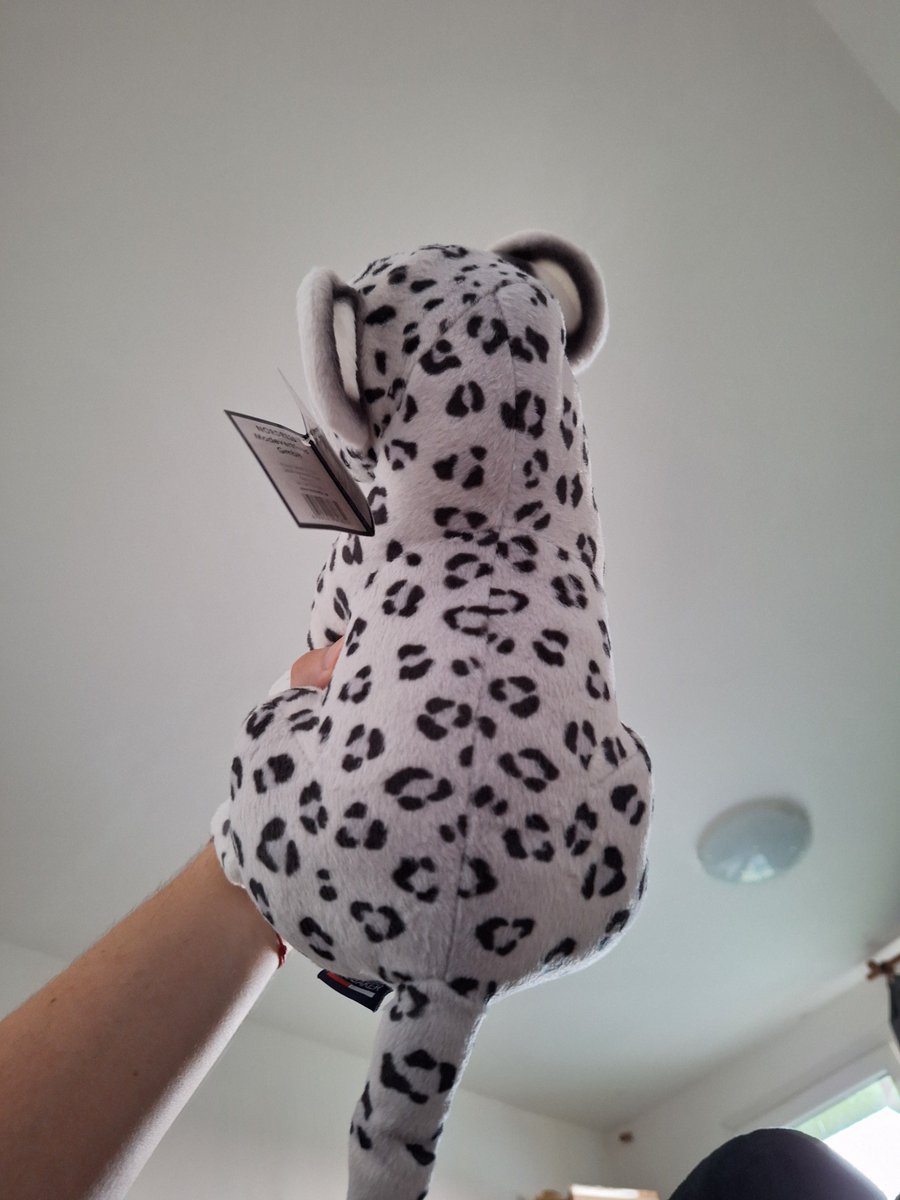 HELLO SNOW LEOPARD NEW BABY