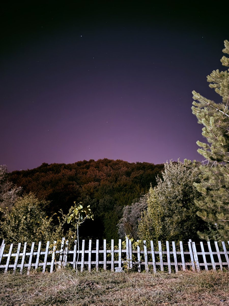 “insanda öyle bir aşk, dert, ızdırap, istek vardır ki yüz bin âlem onun mülkü olsa yine de dinginleşmez.”