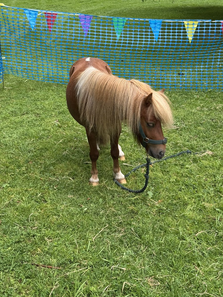 CllrMelClose's tweet image. A lovely day #LancashireFestival
Weather stayed mainly dry & it was great to see so many families enjoying the Festival, local entertainment (which was brilliant - great artists !), local businesses and even some #therapyponies ❤️