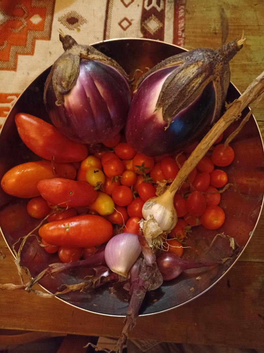 Domani una parmigiana dal mio orto. Mozzarella e parmigiano sono in frigo, basilico fresco anche dal orto.