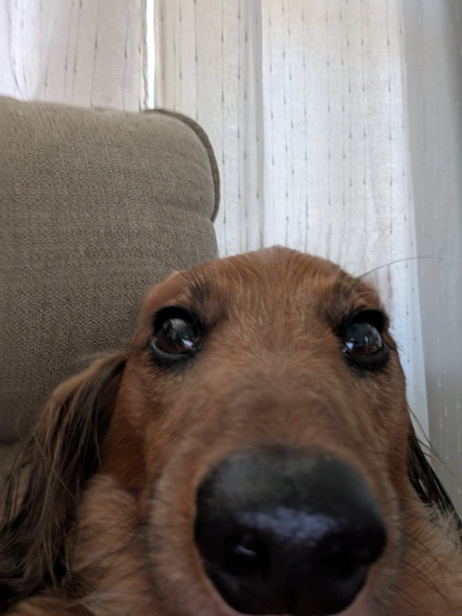 Yo