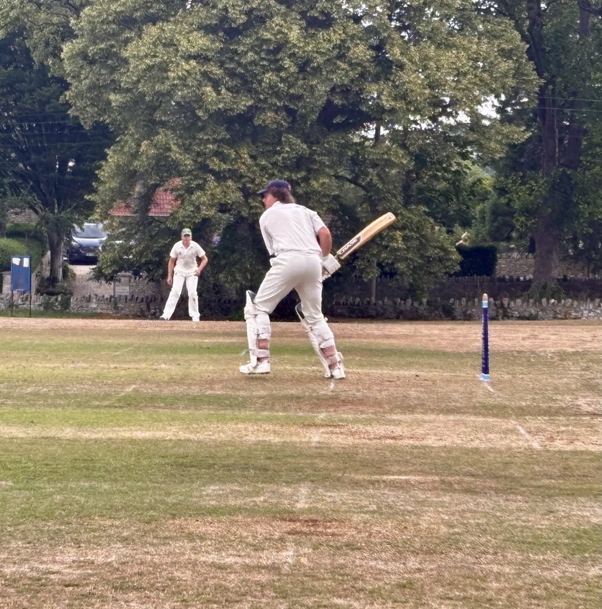 Dyrham & Hinton CC 🦌 tweet media