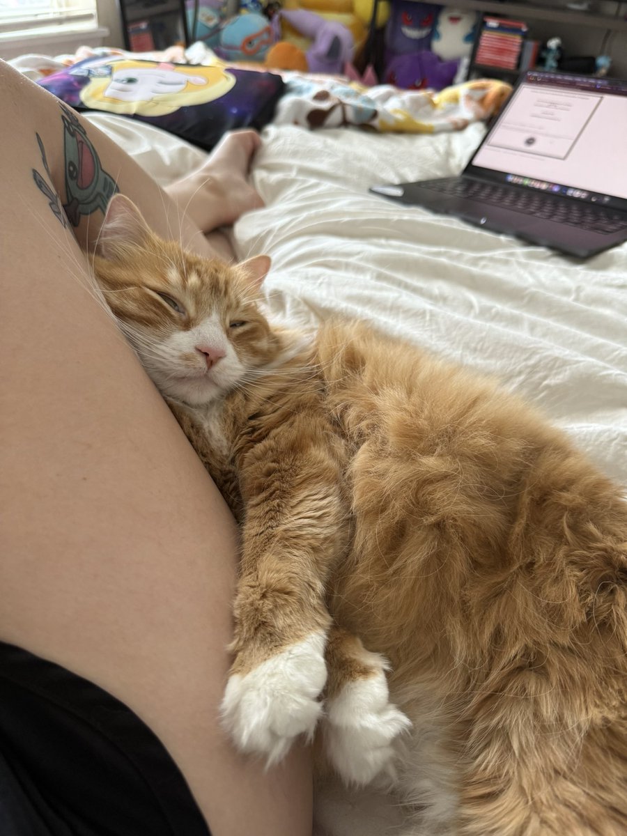 seashell_b's tweet image. Obviously can’t move today