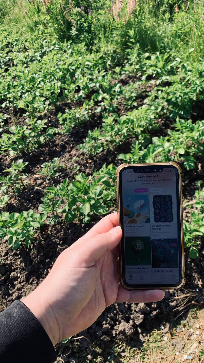 gubin54kirill54's tweet photo. Summer is in full swing and I'm working hard at the dacha )) but @pinai_io helps me diversify my leisure time Friends, I recommend it, add me
 #pinai_io #summer https://t.co/73zUUN5NGE
