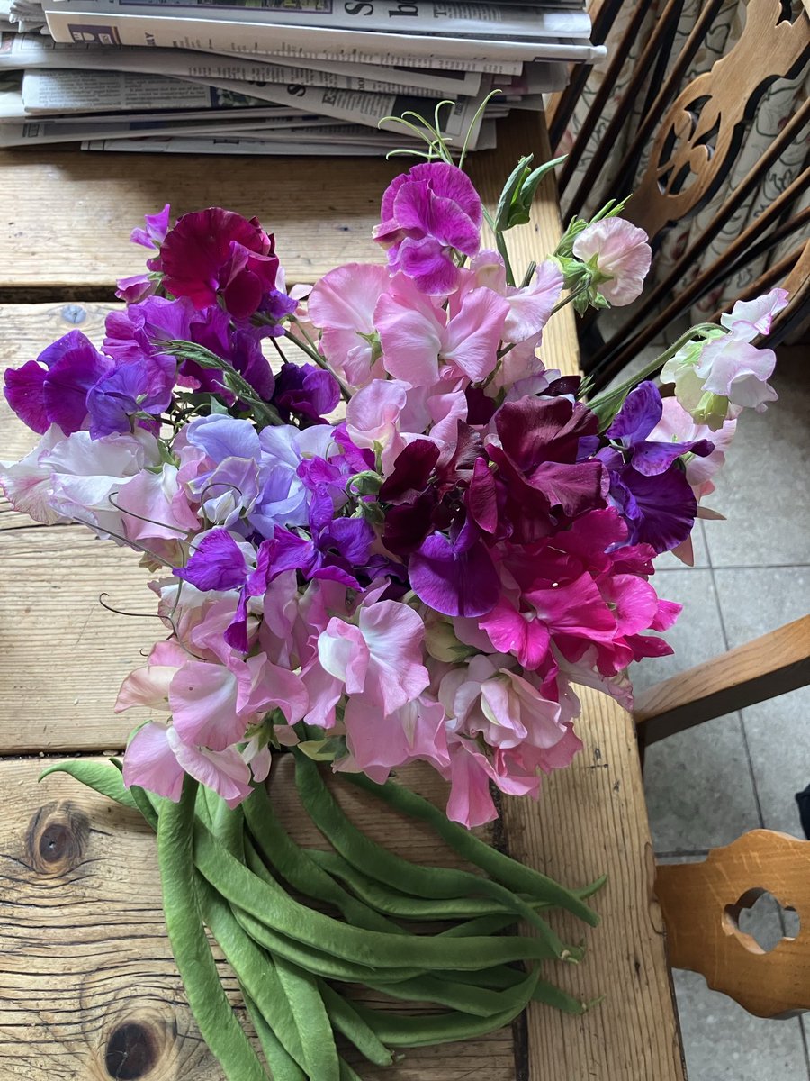 Janenewberry55's tweet image. High summer joy… thanks @srkitchengarden for healthy plant plugs when germination failed.
One ( but which??) is given by the indomitable canon Warner. #gardening