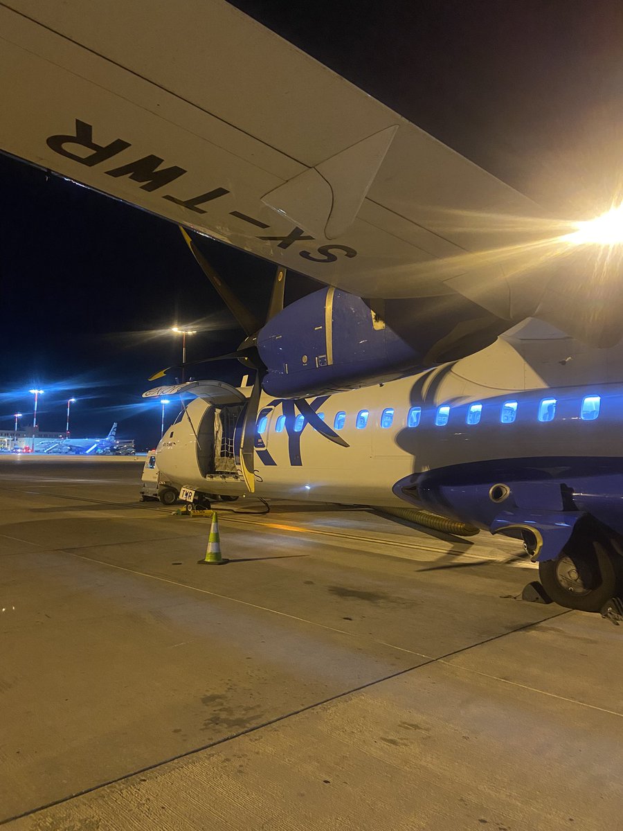 Orient Braces tweet media