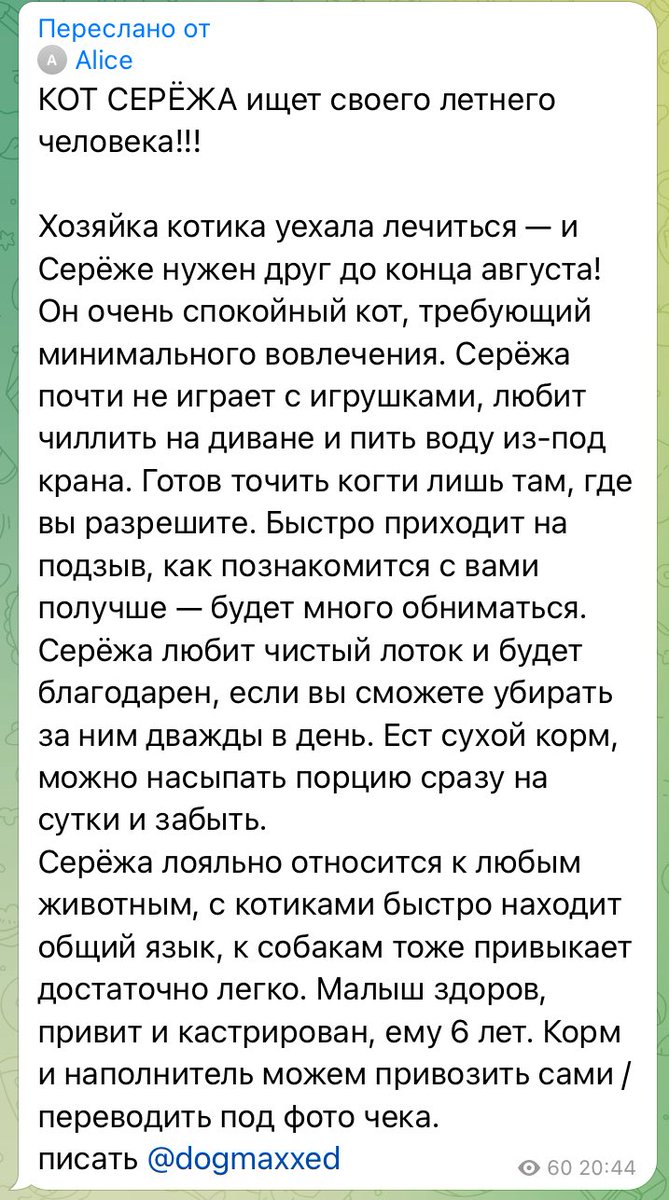 друзья в тбилиси!! а мб кто-то может взять кота саши лу на передержку до конца лета или меньше? он порядочный ко всему приученный добряк

если у кого есть какие-то идеи предложения пишите мне в личку

порепрстите пожалуйста!!