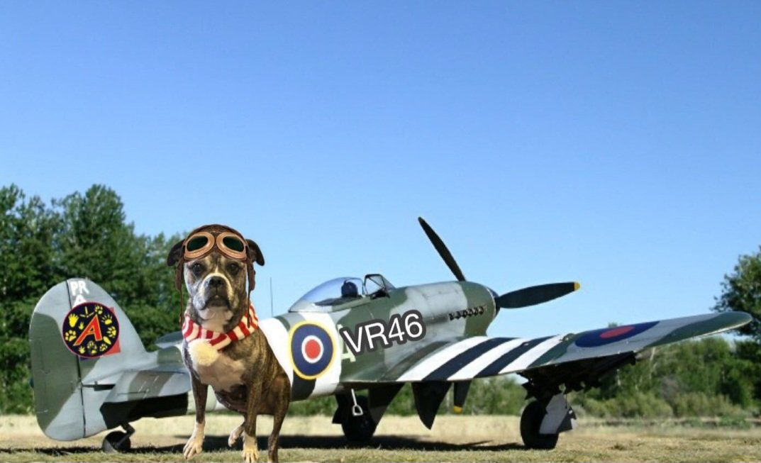 #TheAviators Captain Lola, VR46, is here for the quarterly tribute flight. I shall see you all inside at the pre flight buffet.