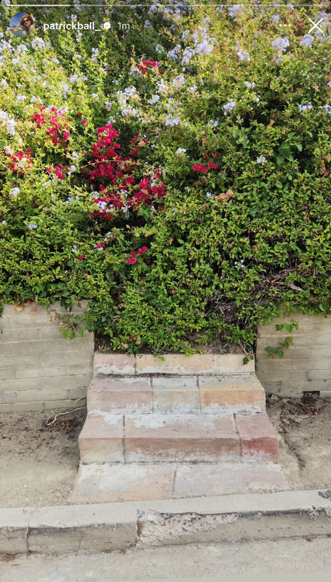 PatCrave's tweet image. Patrick shares a pretty photo of some steps on his Instagram story.