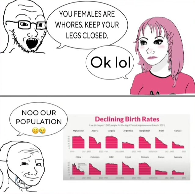 pinkcels's tweet image. Men are the cause of the birth rates dropping for their awful and disgusting behavior towards women.
