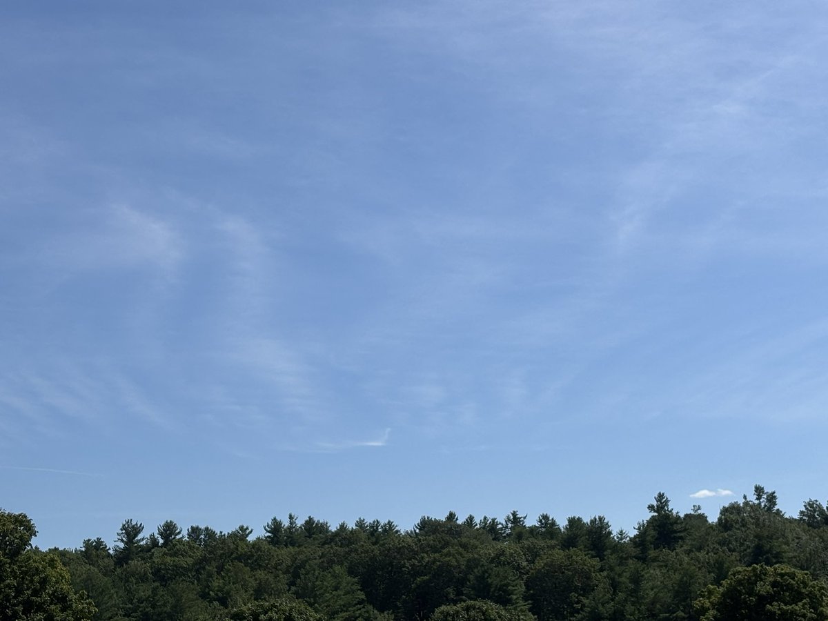sub__tara's tweet image. Frequencies are cranked way up this week in New England