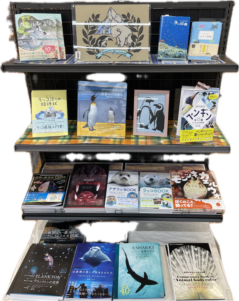 graphicshaeigy1's tweet image. 栃木県のジョイフル本田宇都宮店さまにです
夏にオススメの動物ビジュアルブック🦭🦦🦭🦦🦭🦦🦭🦦🦭🦦🦭🦦
ご覧ください
#書店巡礼 #宇都宮 #ペンギン #ラッコ #アザラシ #サメ #水族館