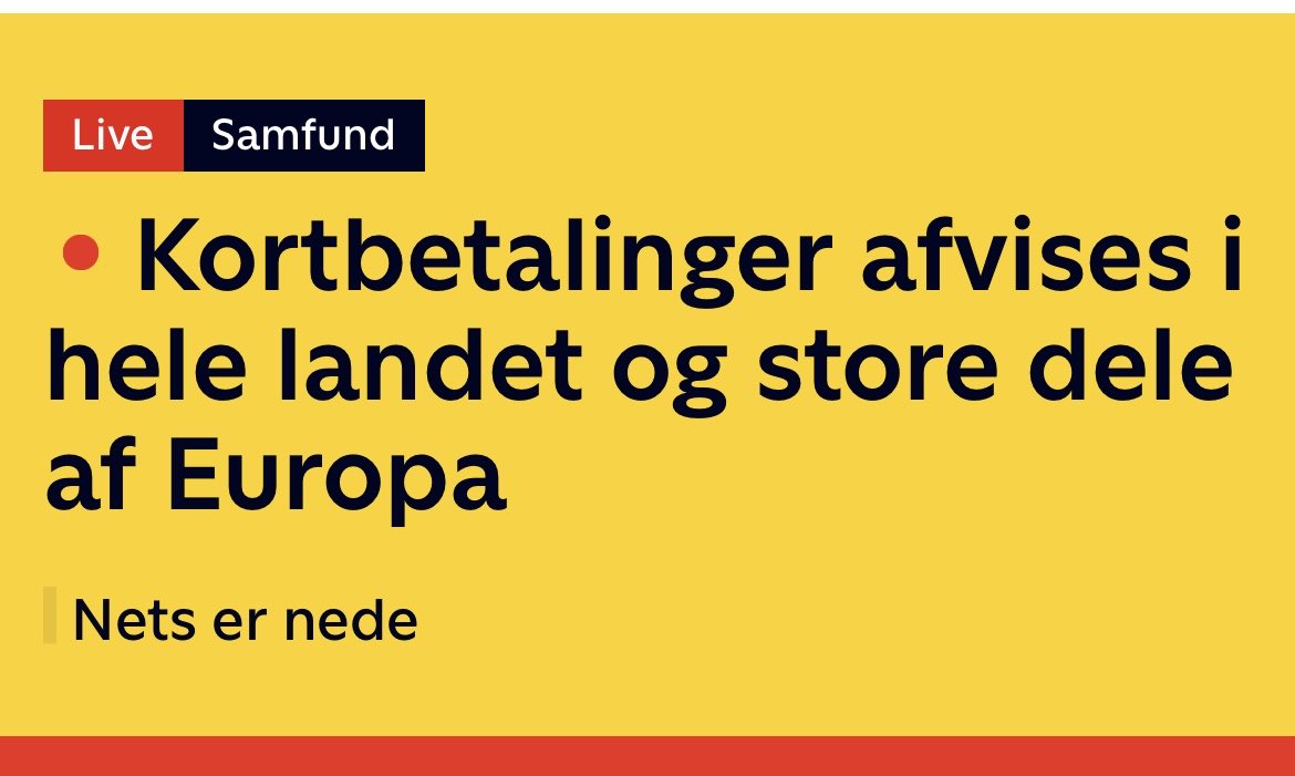 Tina 🐝🦋🐾🪴🐥🐱☀️💚 tweet media