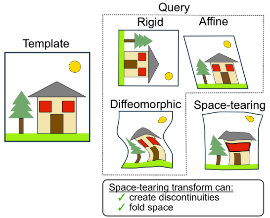 rohitsingh8080's tweet image. Which of these images is not like the other and why does it matter for cancer research?
That fourth transform is what real tissues need but most spatial methods can't handle.
Enter SAME, our algorithm for integrating multimodal spatial omics across near-serial sections.
