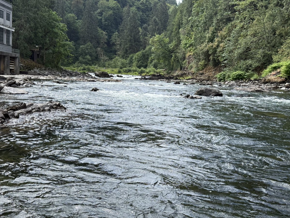 I nearly fell into the river for this picture, but I think it’s worth it (this is also proof that I go outside lol)