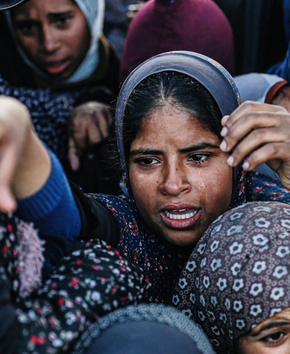 streetcnina's tweet image. GAZA
Non è più nemmeno lupi contro agnelli. È qualcosa di più osceno.
Non ci sono più parole giuste, ma bisogna continuare a scrivere. Informare. Denunciare.
Fare nomi, date, numeri, verbi.
È resistere all’anestesia. All’assuefazione.