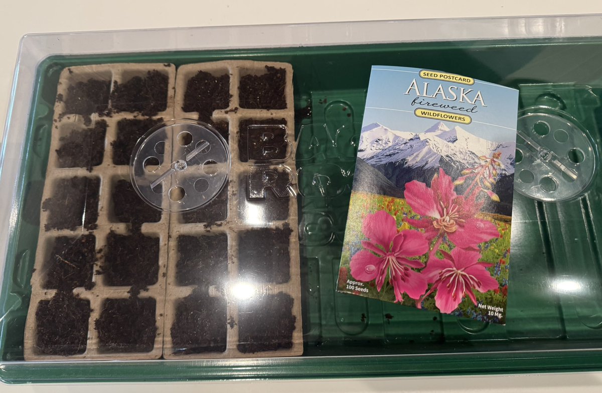 avvharris's tweet photo. Trying to grow some seeds from Alaska! @backtotheroots #GrowOneGiveOne https://t.co/YgTMO7LBkn