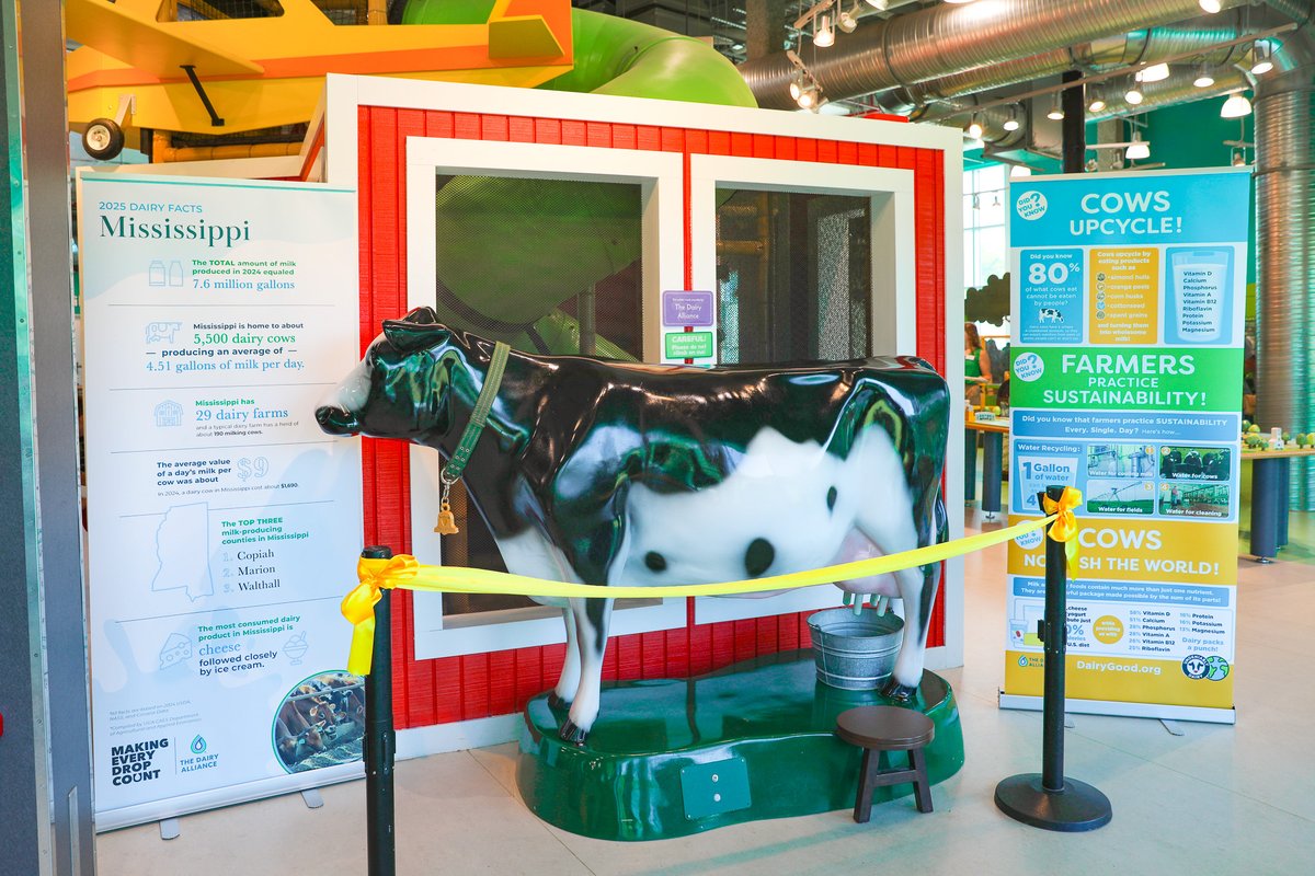 Mississippi Children's Museum tweet media