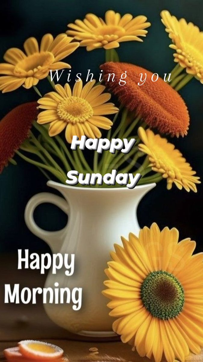 Happy Sunday 🤍