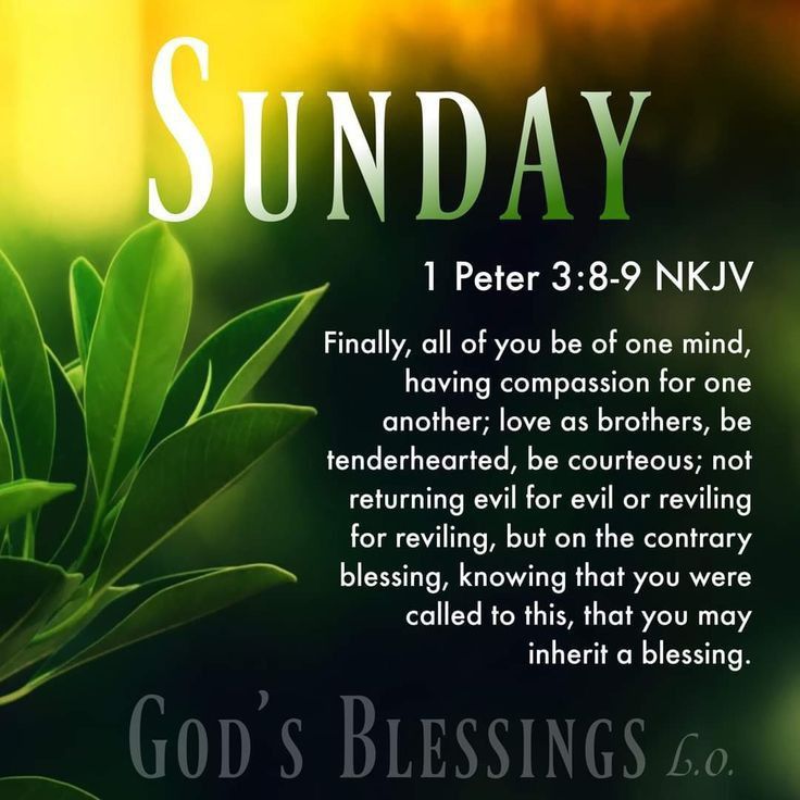 Have a blessed Sunday 💛