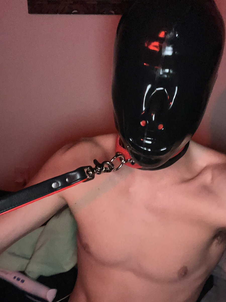 Pup_astro7's tweet photo. Just a mindless gimp #gayrubber https://t.co/u3xZB0Gv4p
