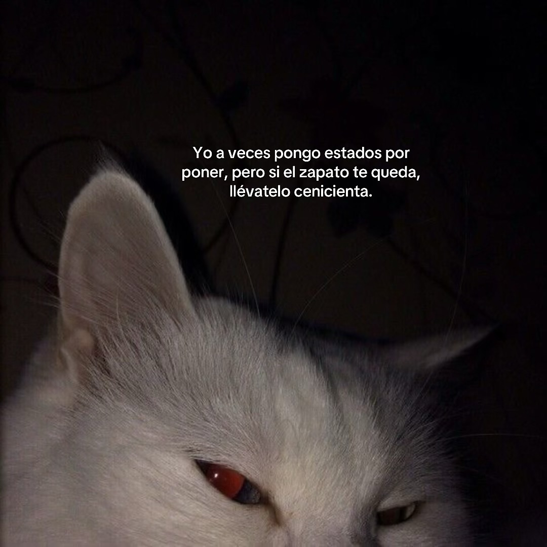 bauldefrases (@suspirxsalaire) on Twitter photo 