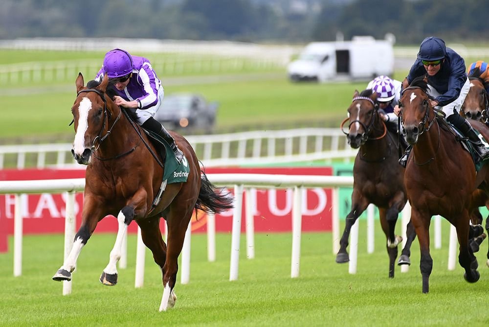 💷 CASH GIVEAWAY! 💷

If DIEGO VELAZQUEZ wins the Romanised Minstrel Stakes (3:40) at the Curragh on Sunday (20/07/2025), I’ll give £100 to one lucky person who enters! 💰

To enter: - 

🔸Like &amp; Repost 👍🏻🔁
🔸Follow <a href="/RacingGav/">RacingGav</a> &amp; <a href="/BetCoUK/">Betting.co.uk</a>
🔸Tag a friend! 👇🏼

Good luck! 🤞🏻