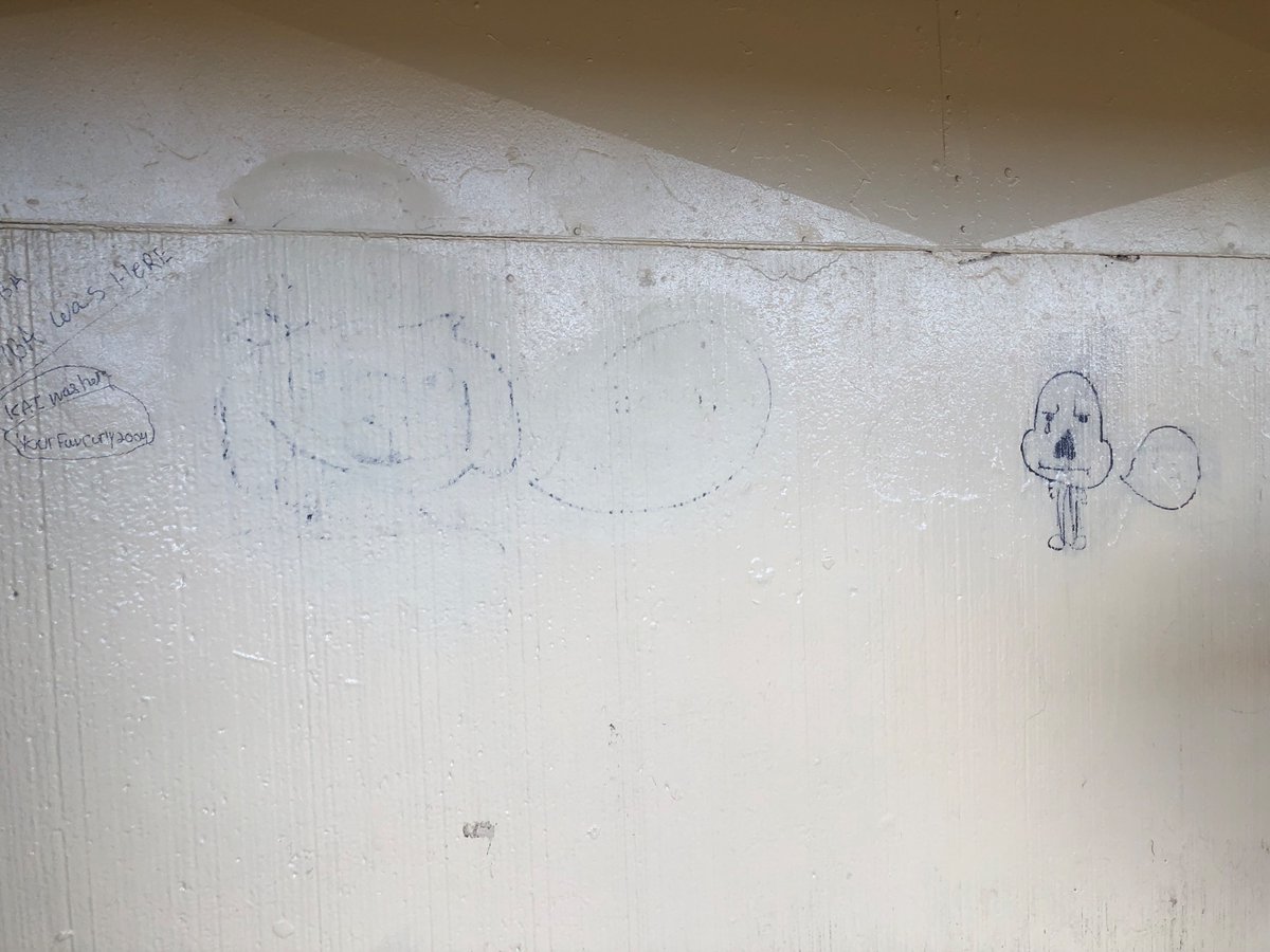 synanthropy's tweet image. Is this undertale?? Someone more online than me please help 🙏