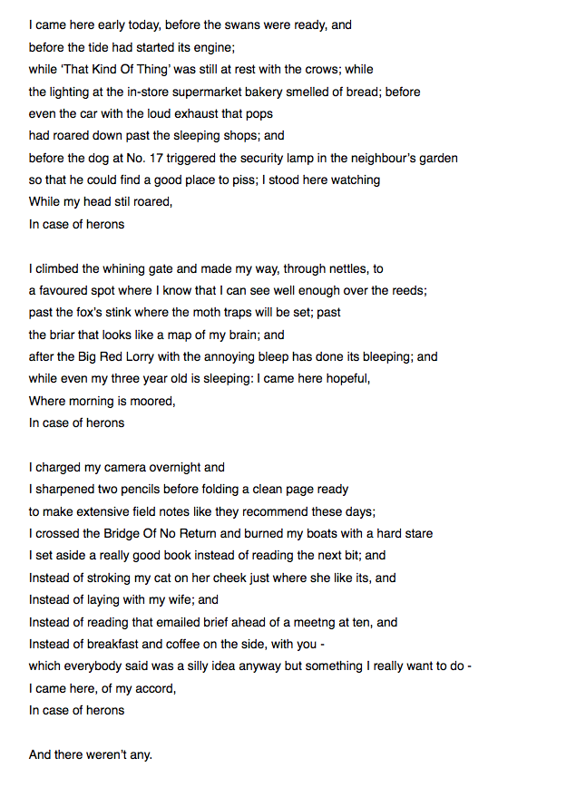 A poem I wrote this morning.
IN CASE OF HERONS

You're welcome.