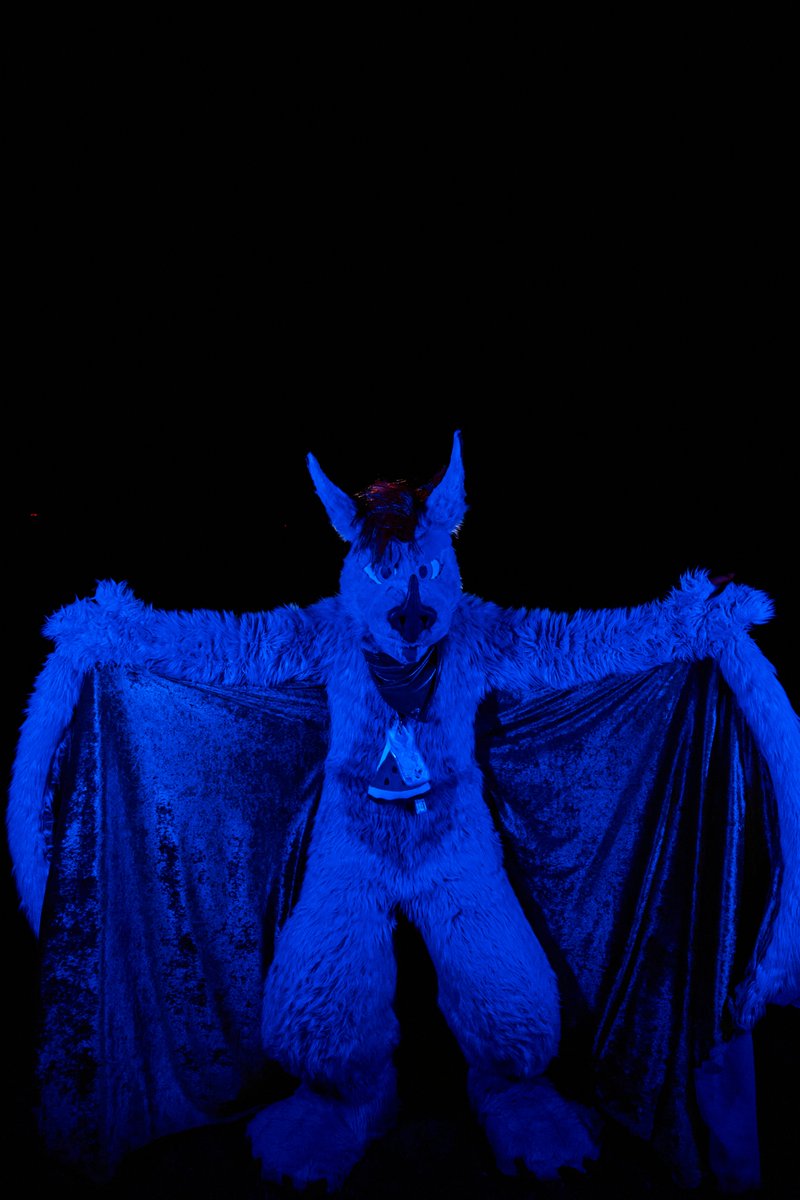 BatLycus's tweet photo. Let me tell you a secret. Did you know that when you shine either blue or red Light on me I purposely change color 📷 @HiryuTheDragon https://t.co/RMin8WvEUB